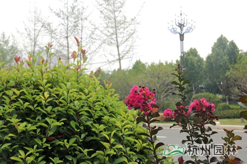 彩运网(中国游)官方网站