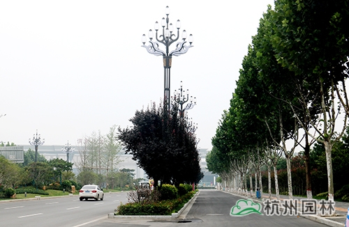 彩运网(中国游)官方网站