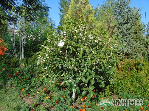 彩运网(中国游)官方网站