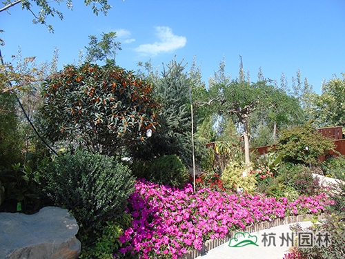 彩运网(中国游)官方网站