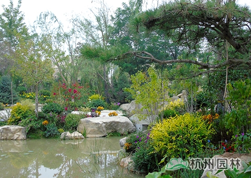 彩运网(中国游)官方网站