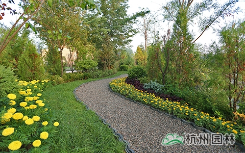 彩运网(中国游)官方网站