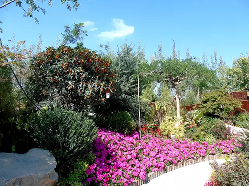 彩运网(中国游)官方网站