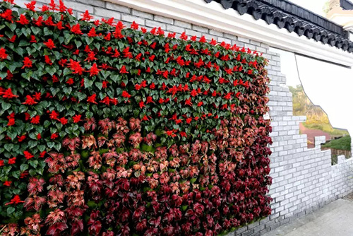 彩运网(中国游)官方网站