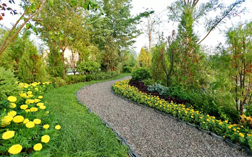 彩运网(中国游)官方网站