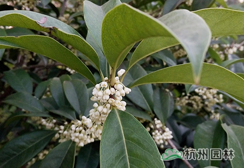 彩运网(中国游)官方网站