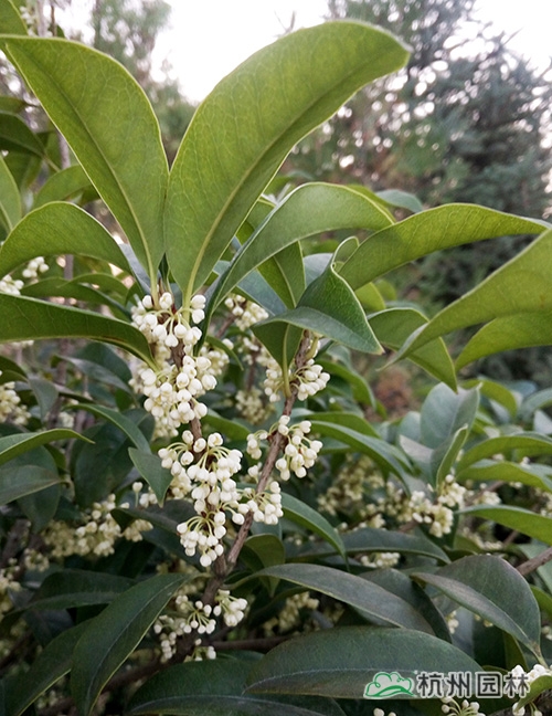 彩运网(中国游)官方网站