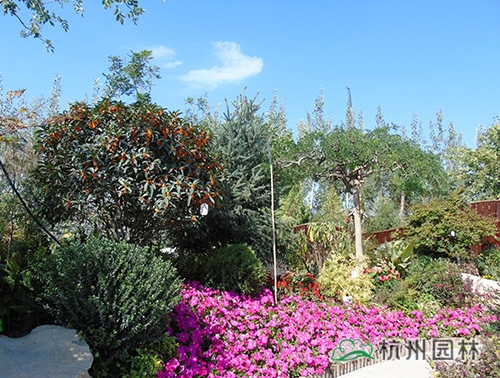 彩运网(中国游)官方网站