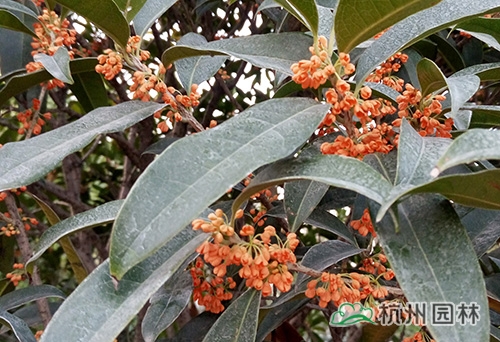 彩运网(中国游)官方网站