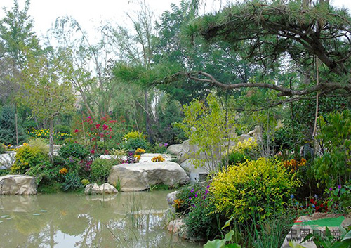 彩运网(中国游)官方网站