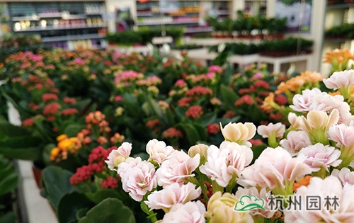 彩运网(中国游)官方网站