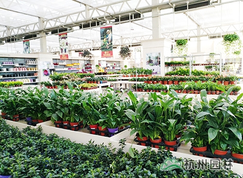 彩运网(中国游)官方网站