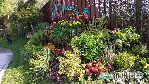 彩运网(中国游)官方网站