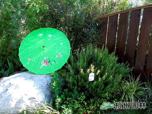 彩运网(中国游)官方网站