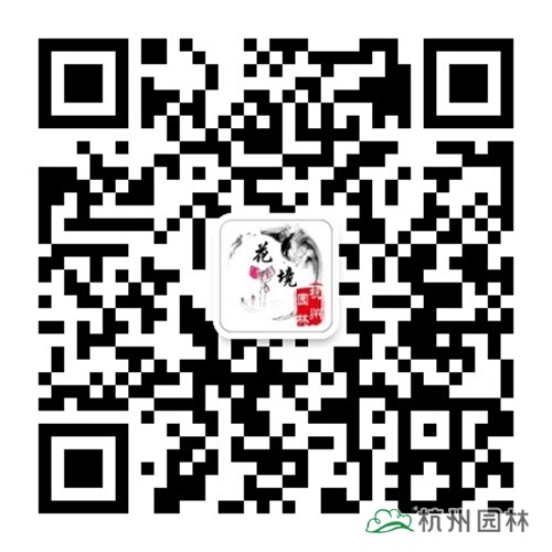 彩运网(中国游)官方网站