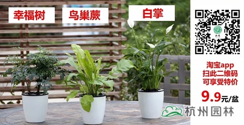 彩运网(中国游)官方网站