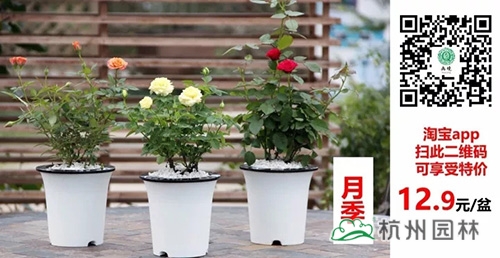 彩运网(中国游)官方网站