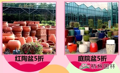 彩运网(中国游)官方网站