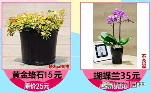 彩运网(中国游)官方网站