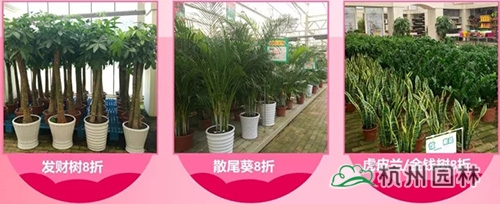 彩运网(中国游)官方网站