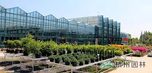 彩运网(中国游)官方网站