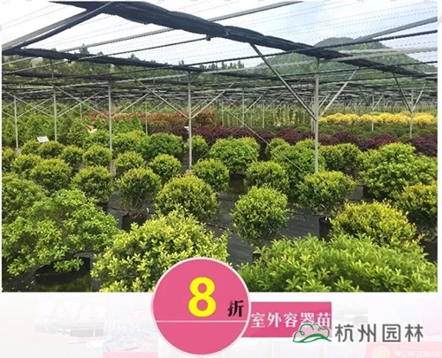 彩运网(中国游)官方网站