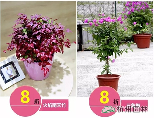 彩运网(中国游)官方网站