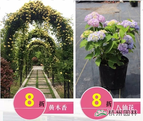 彩运网(中国游)官方网站