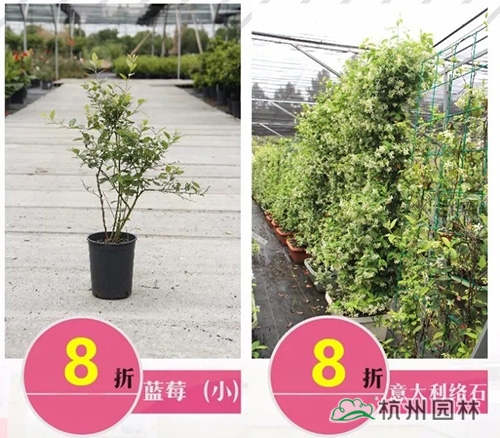 彩运网(中国游)官方网站