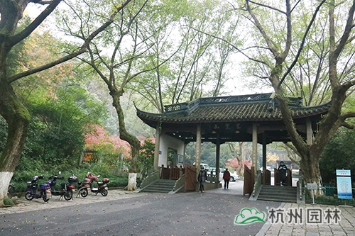 彩运网(中国游)官方网站