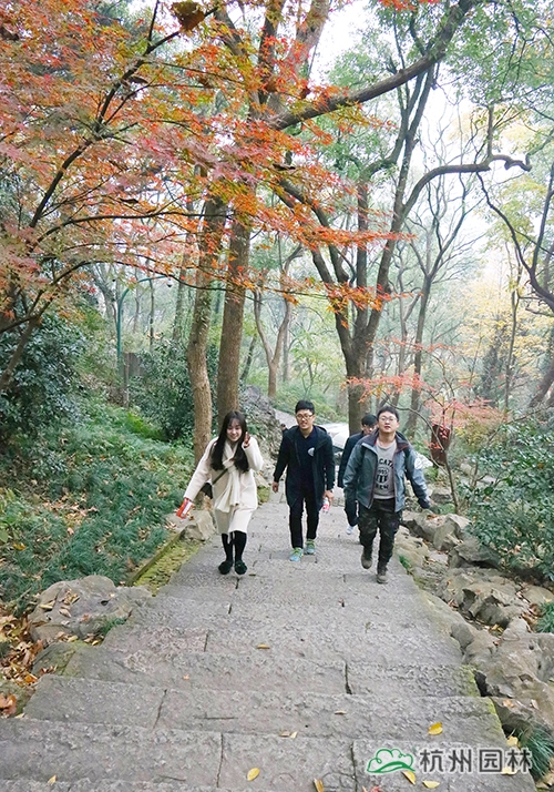 彩运网(中国游)官方网站