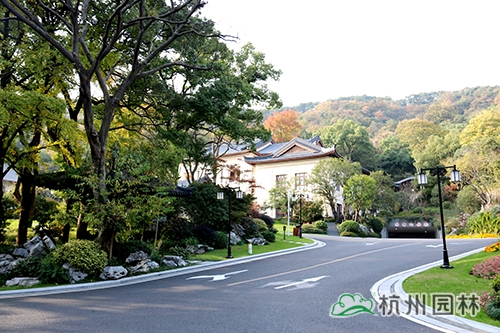 彩运网(中国游)官方网站