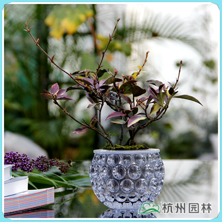 彩运网(中国游)官方网站