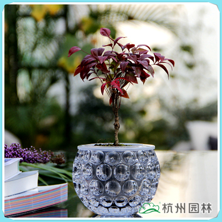 彩运网(中国游)官方网站