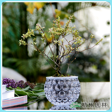 彩运网(中国游)官方网站