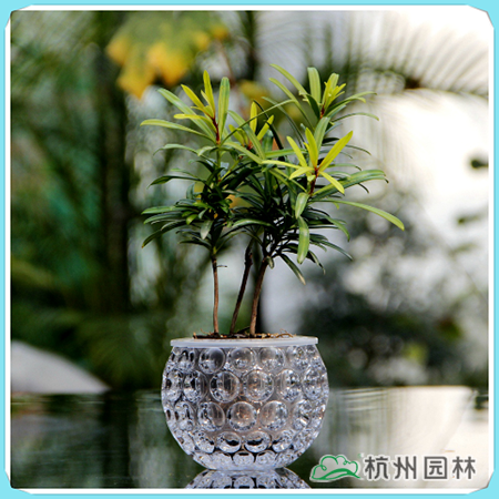 彩运网(中国游)官方网站