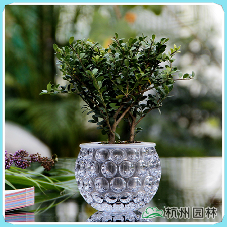 彩运网(中国游)官方网站