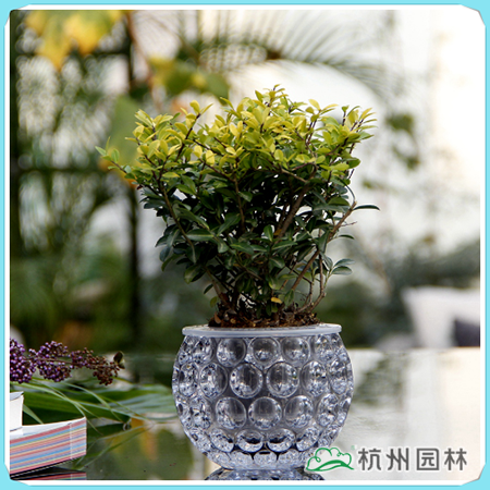 彩运网(中国游)官方网站