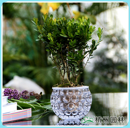 彩运网(中国游)官方网站