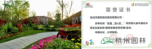 彩运网(中国游)官方网站