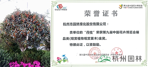 彩运网(中国游)官方网站