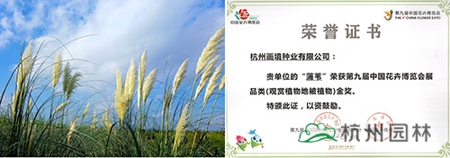 彩运网(中国游)官方网站