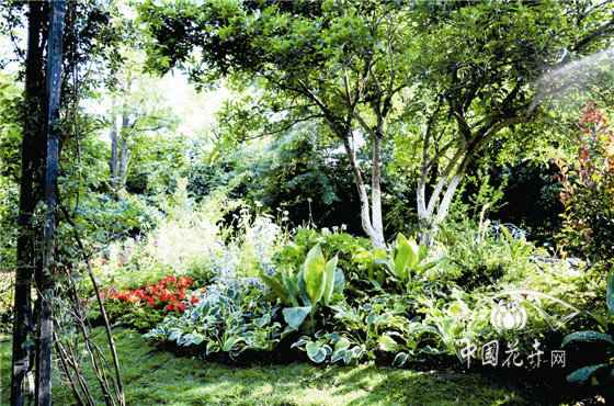 彩运网(中国游)官方网站