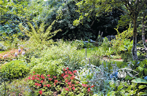 彩运网(中国游)官方网站