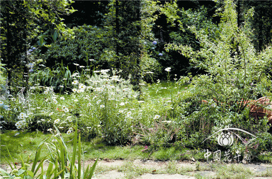 彩运网(中国游)官方网站