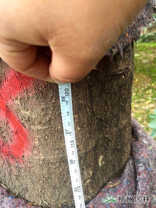 彩运网(中国游)官方网站