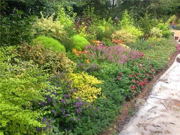 彩运网(中国游)官方网站