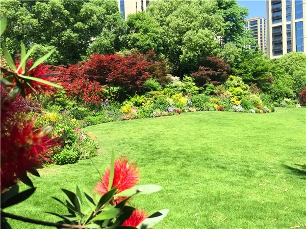 彩运网(中国游)官方网站