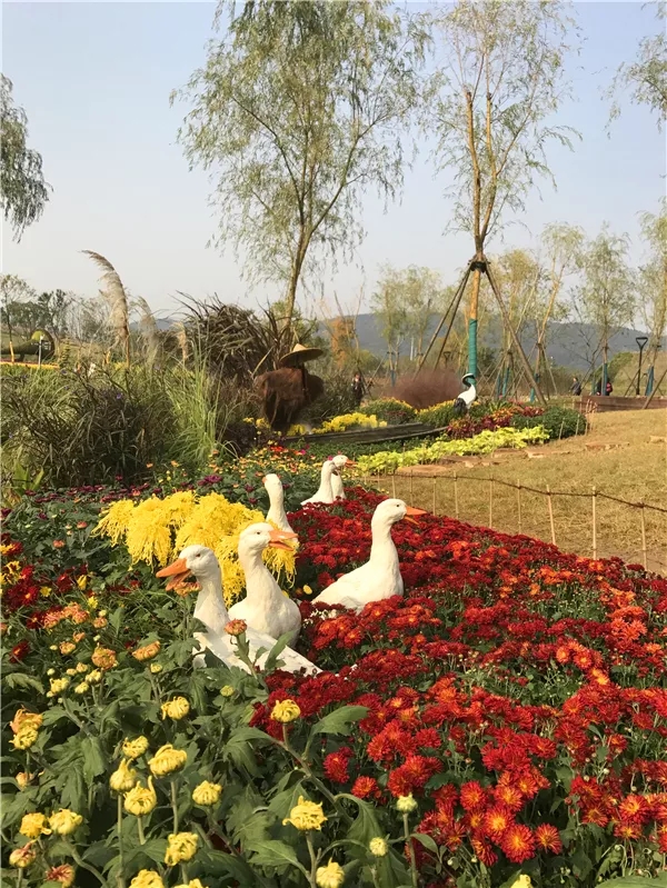 彩运网(中国游)官方网站