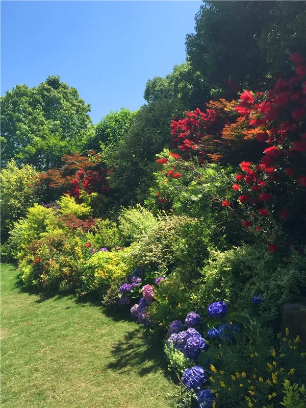 彩运网(中国游)官方网站